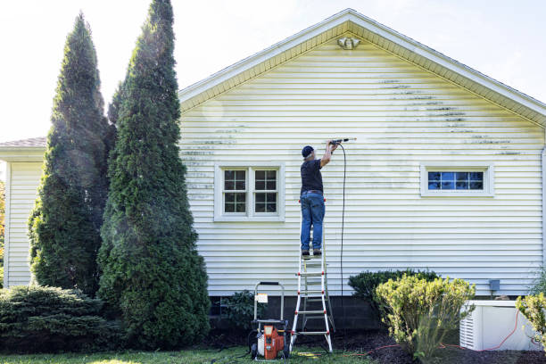 Best Best Pressure Washing Companies  in Mauston, WI